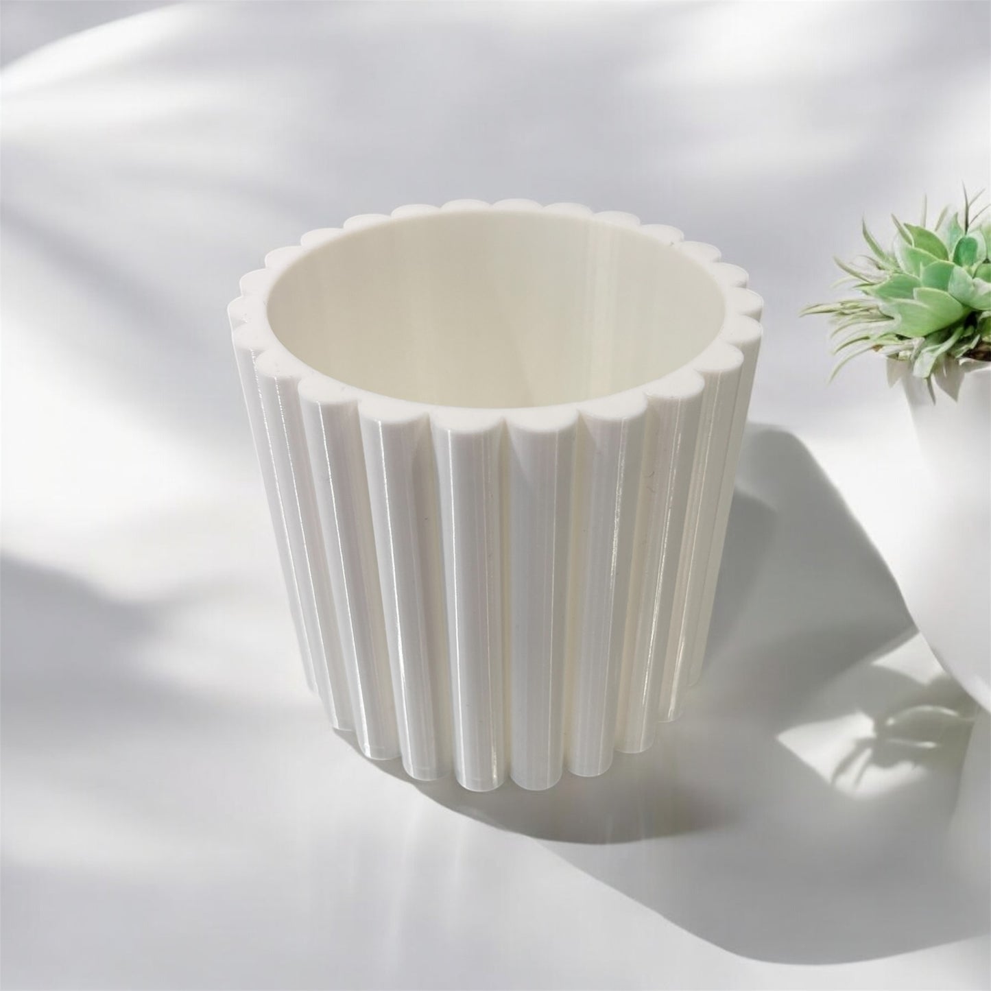 Beauty organiser single pot